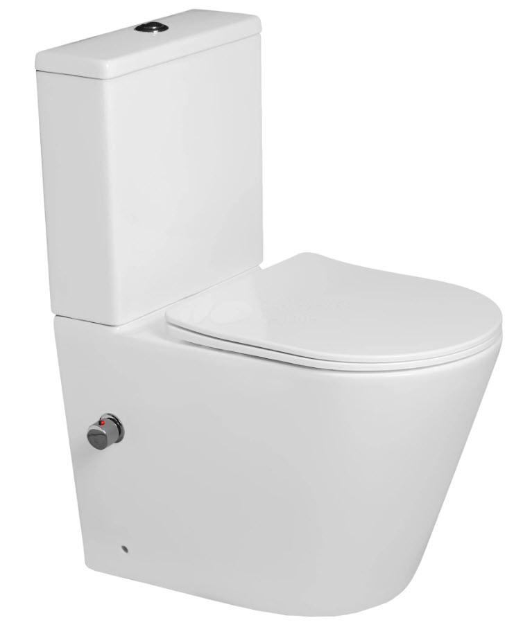 Унитаз напольный с встроенным смесителем и функцией биде SL-5014SM-BD(_1_)