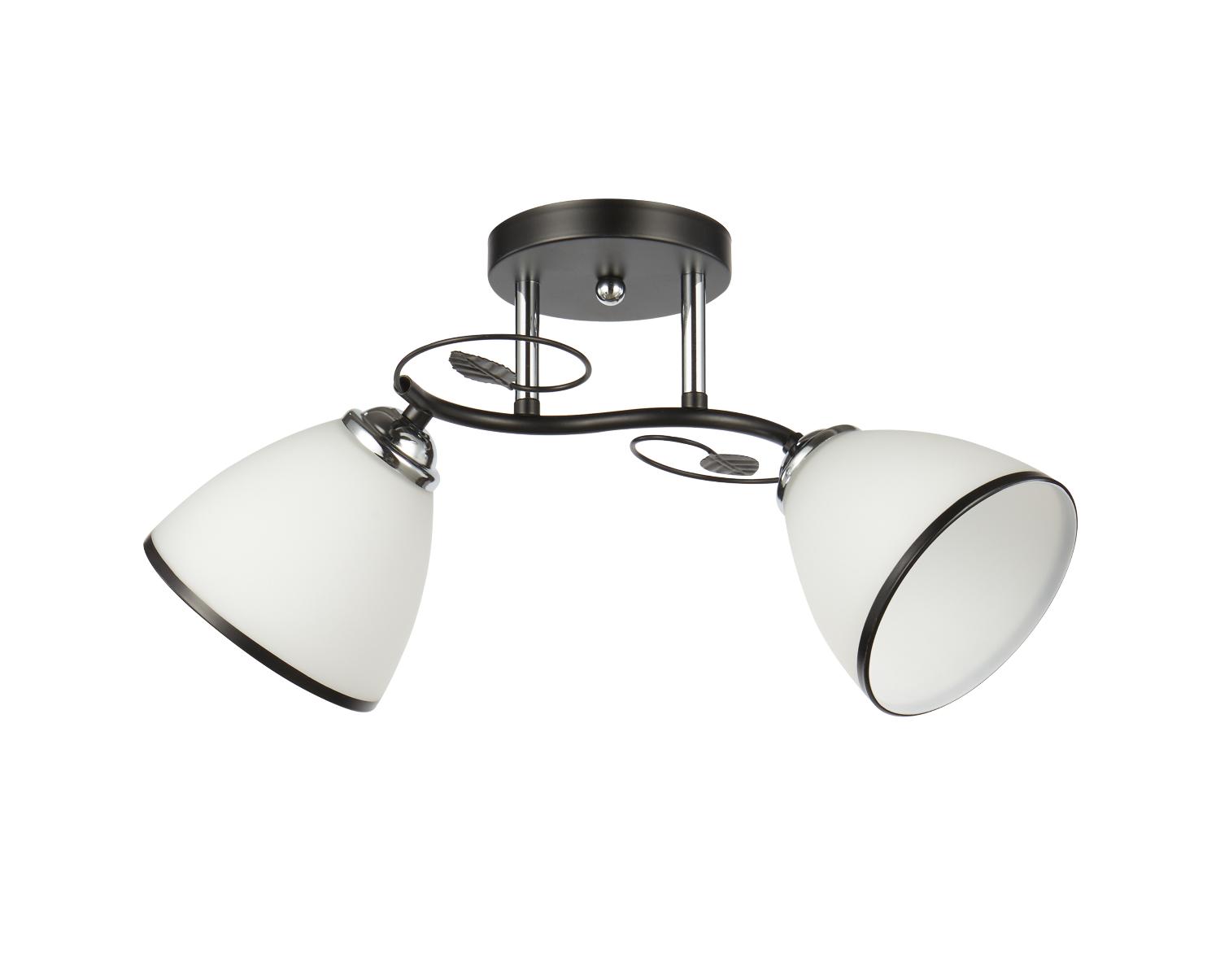 Светильник потолочный 20137/2BK+CR WT+BK