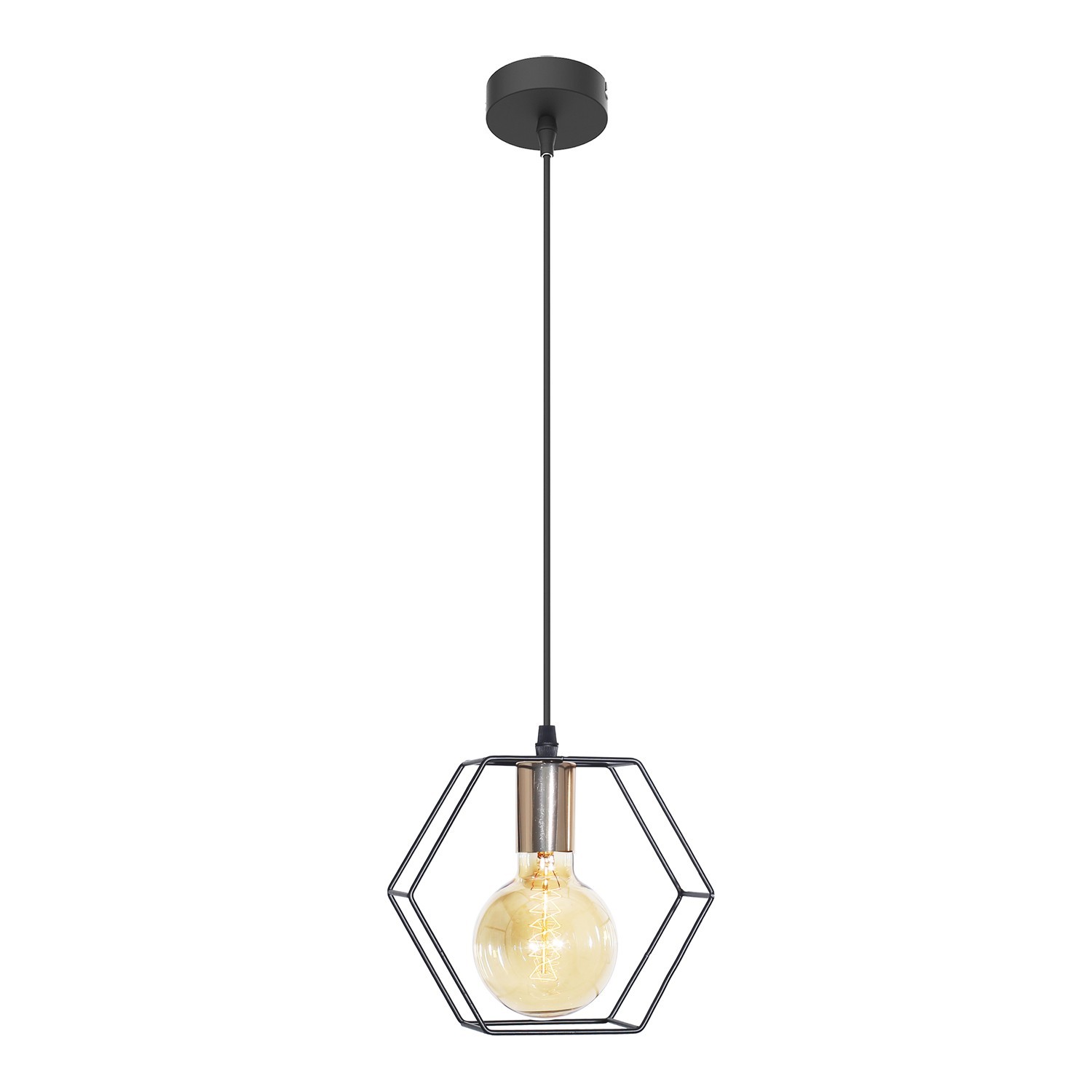 Светильник подвесной 10221/1BK+FG BK 