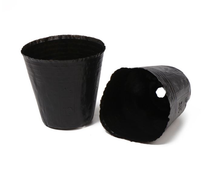 Пакет для рассады, 150 мл, d = 7,5 см, h = 8 см, полиэтилен, толщина 50 мкм, чёрный, Greengo