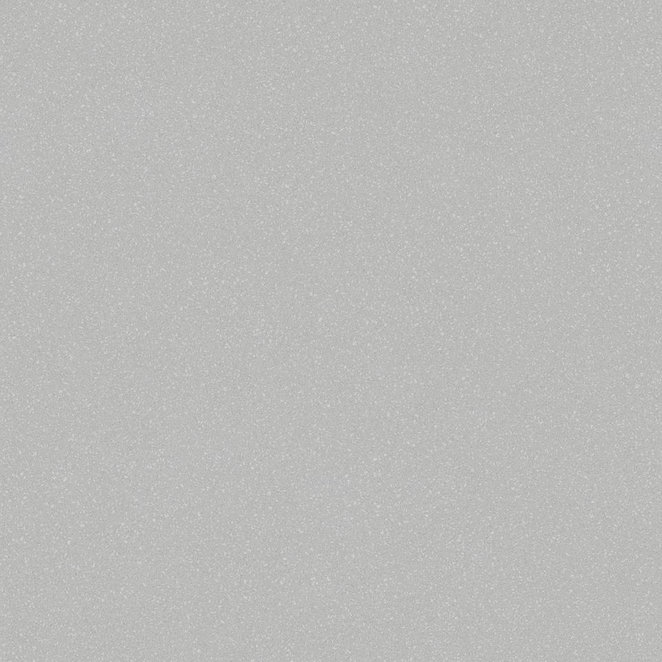 Линолеум коммерч. ACCZENT PRO Аспект-2 (Св.серый) 3,0м. (60)