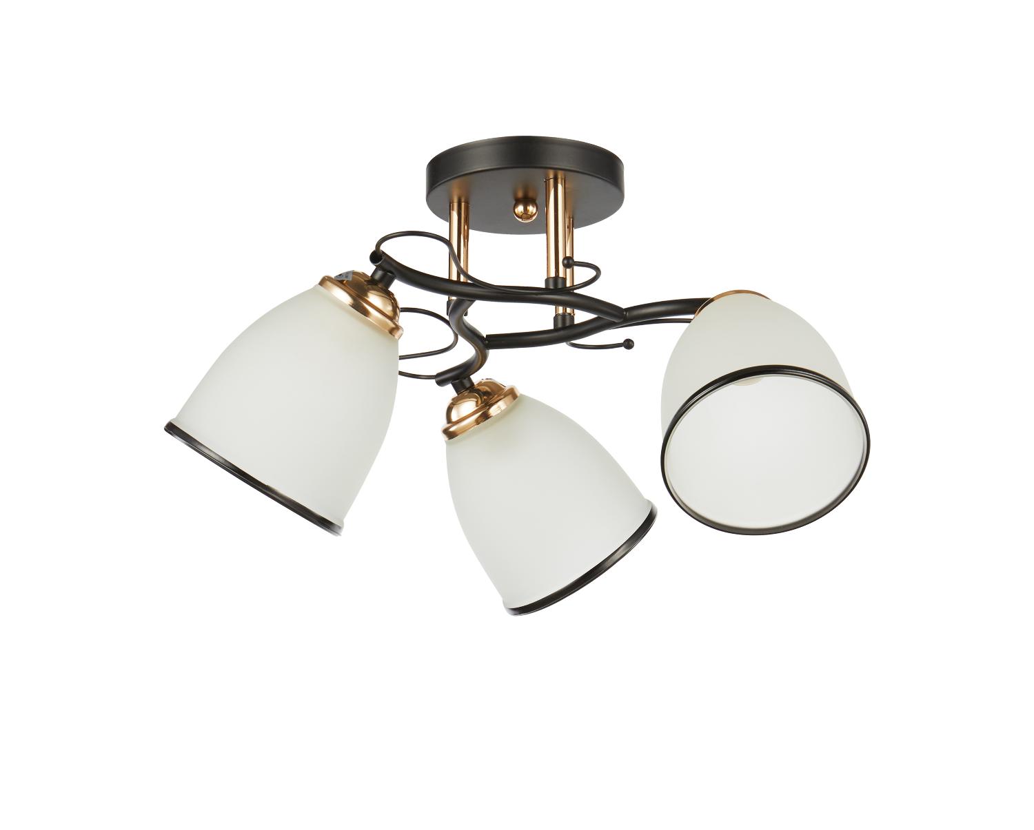 Светильник потолочный 20138/3BK+FGD WT+BK