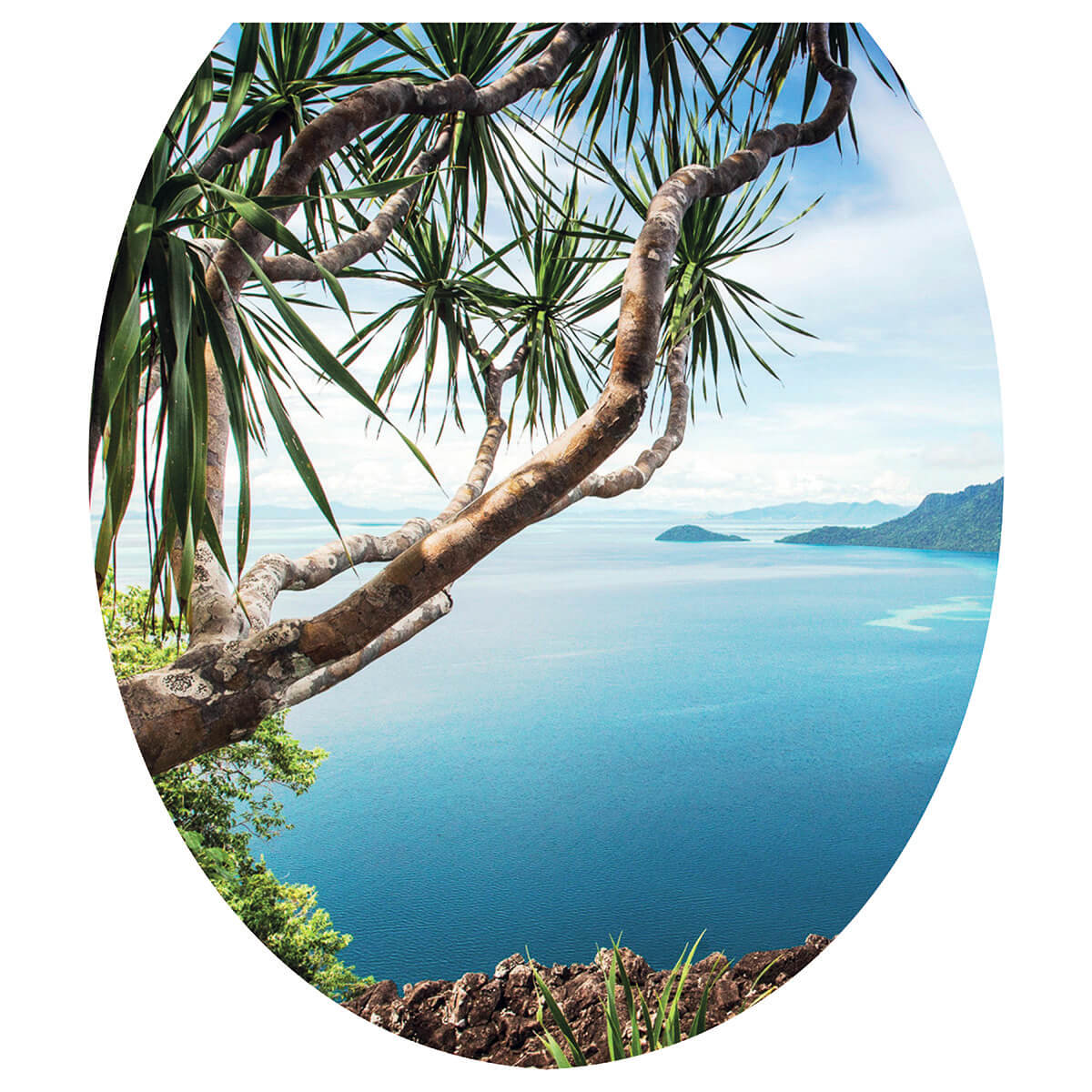 Сиденье для унитаза мягкое (Тайланд) "Сантис" Россия