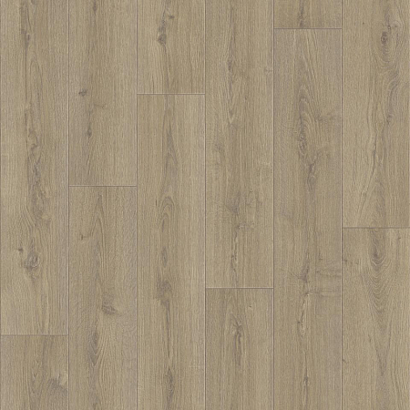 Линолеум Praktika BRUNO-1 4,0м (120)