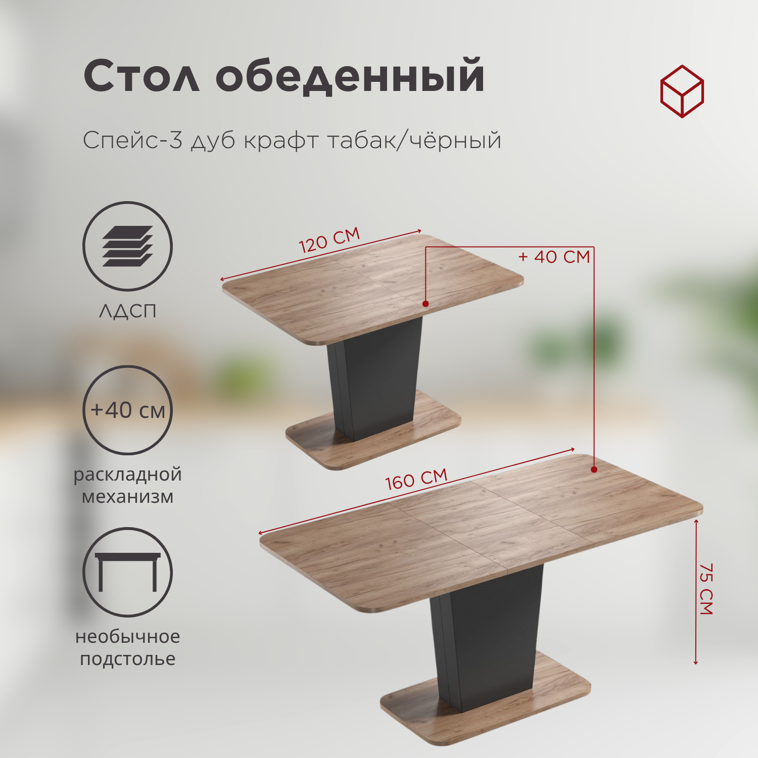 стол + 4 стула (4)