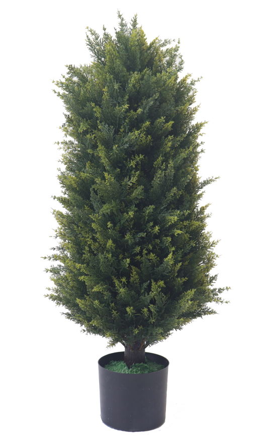 Декоративное дерево Туя Жустика 85 см (20)