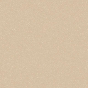 Линолеум коммерч. ACCZENT PRO Аспект-5 4,0м. (80)