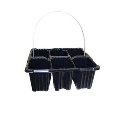 Рассадник кассета 6 ячеек 250х170 v200мл