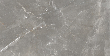 Керамогр. Query Grey серый глянц. 60*120 (уп.1,44м2=2шт)