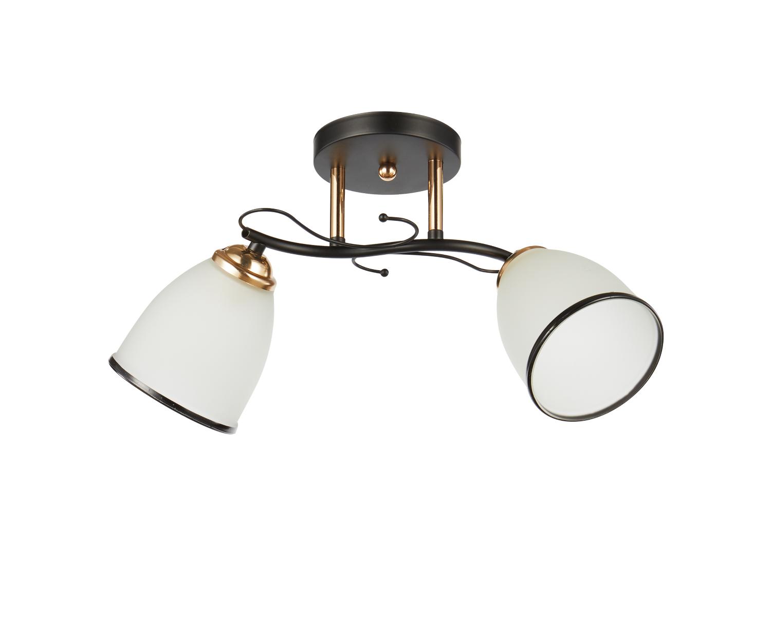 Светильник потолочный 20138/2BK+FGD WT+BK